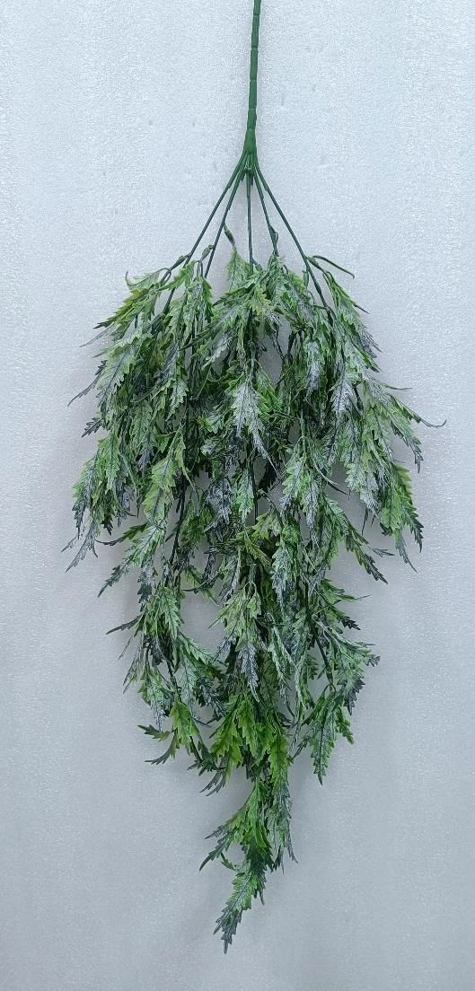 Green Creeper x5 Cut leaf